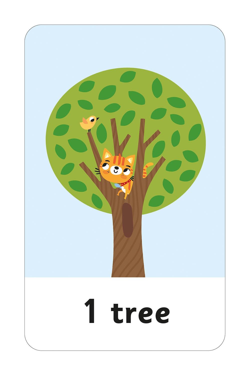 Smart Tots Flash Cards Counting: Ready For School