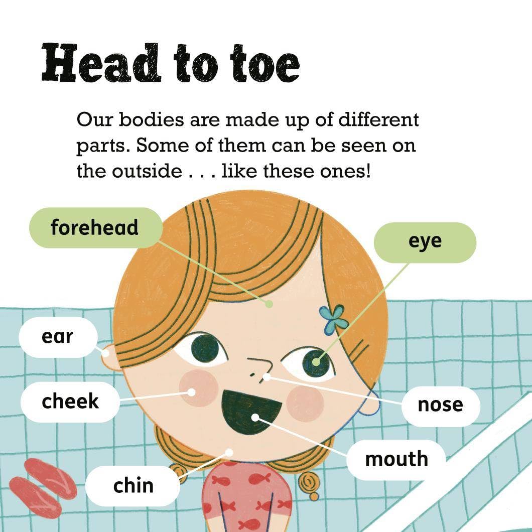 Science Words for Little People: Our Bodies
