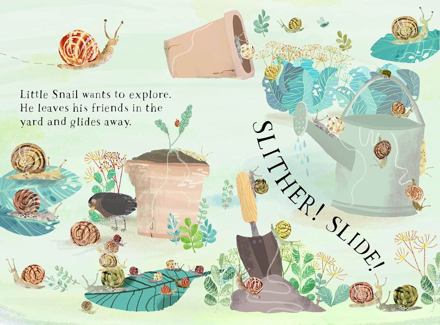 Little Snails Book of Bugs by Yuval Zommer