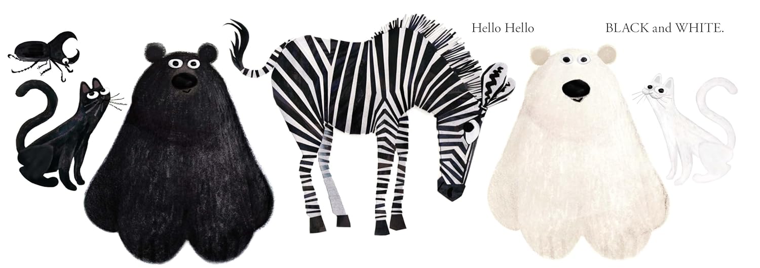 Hello Hello Colors (Board Book)