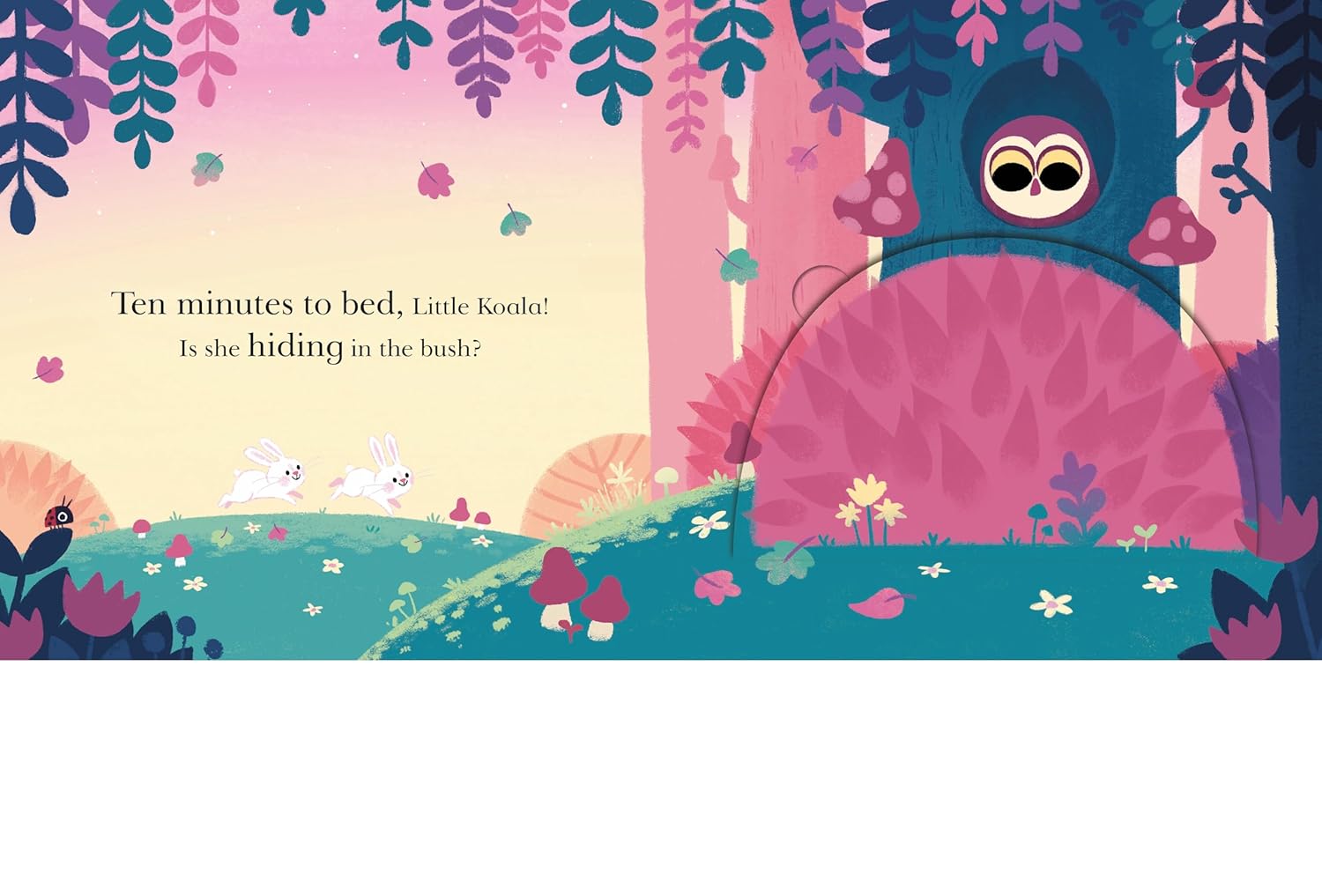 Ten Minutes To Bed: Wheres Little Koala? (Board Book)