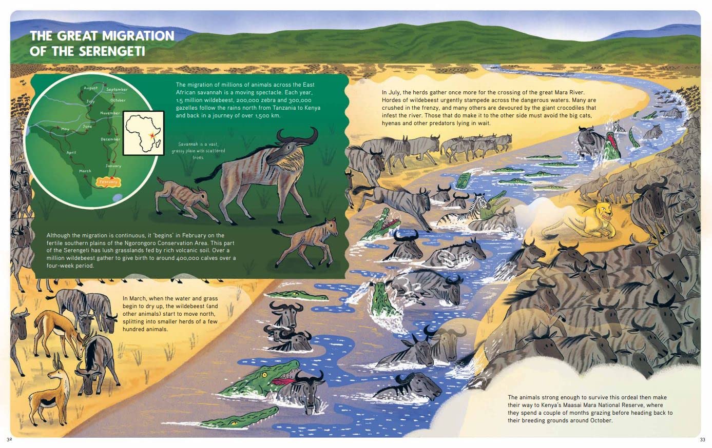 Epic Animal Journeys: Migration and Navigation by Air, Land and Sea