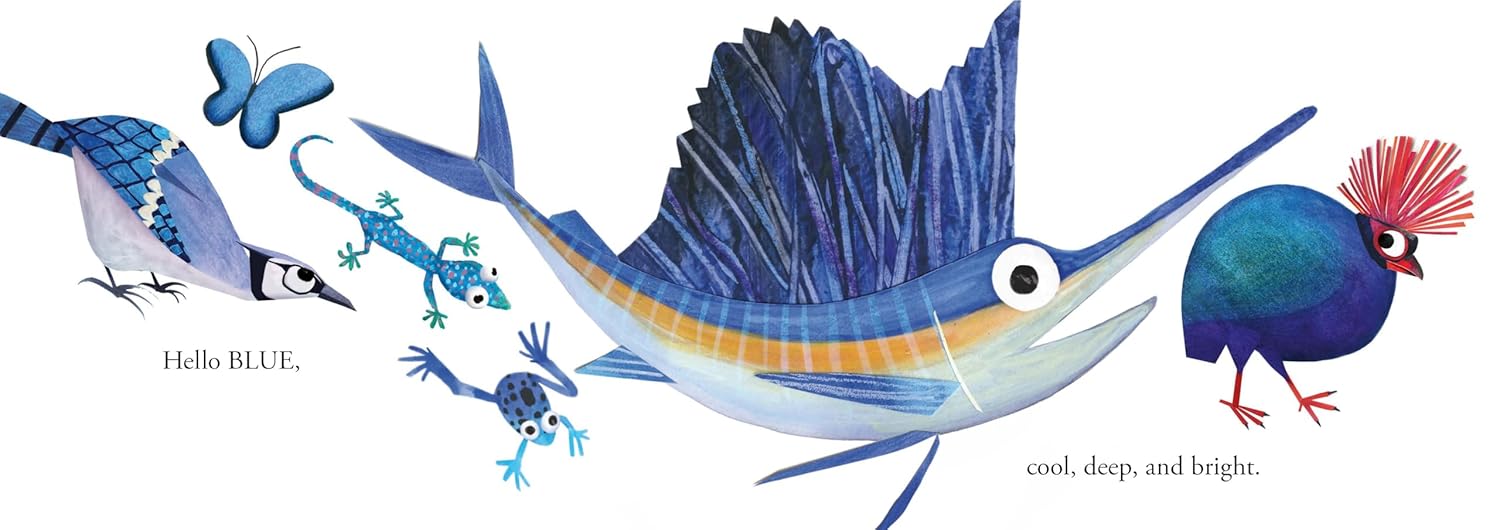 Hello Hello Colors (Board Book)