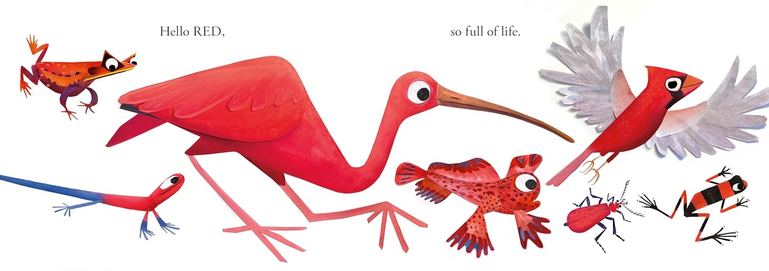 Hello Hello Colors (Board Book)