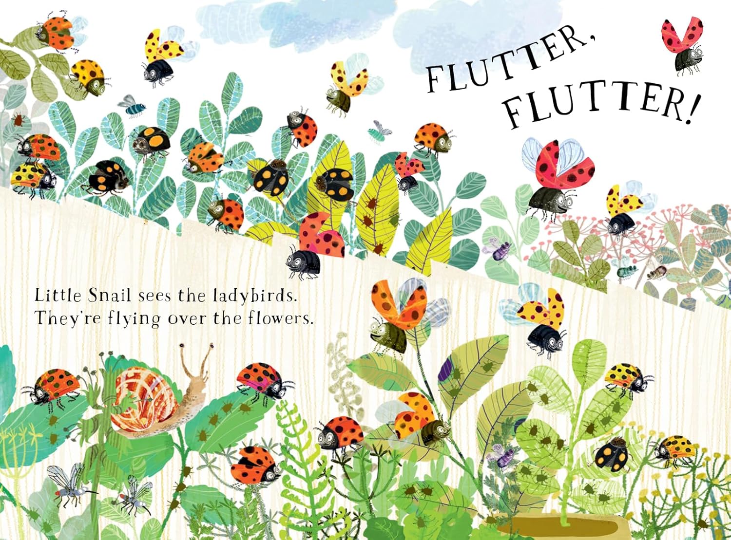 Little Snails Book of Bugs by Yuval Zommer