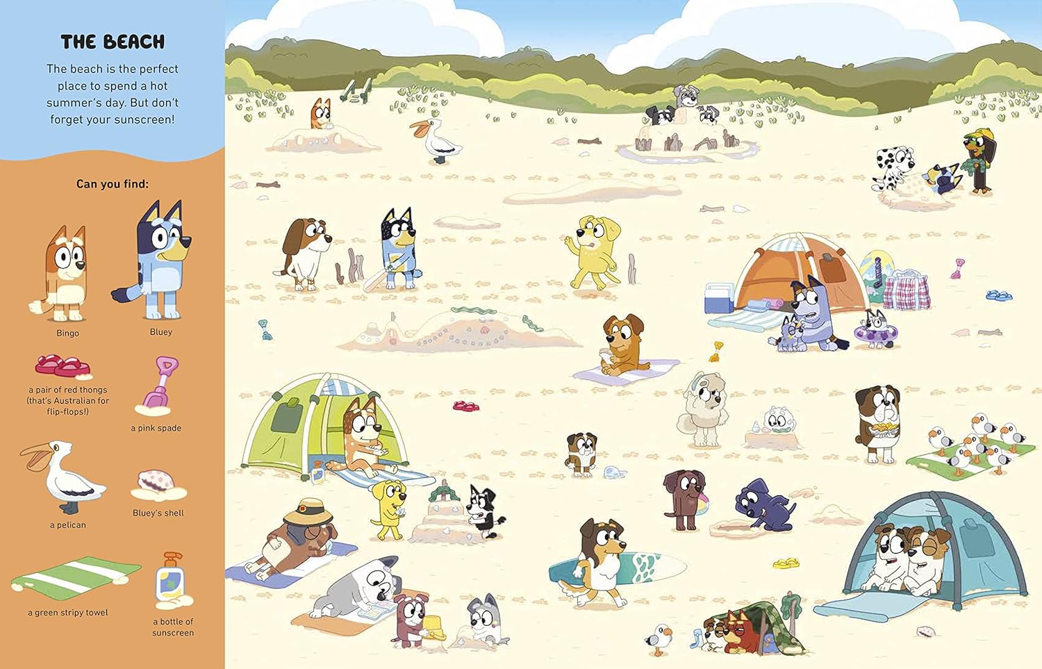 Wheres Bluey? (Search And Find Book)