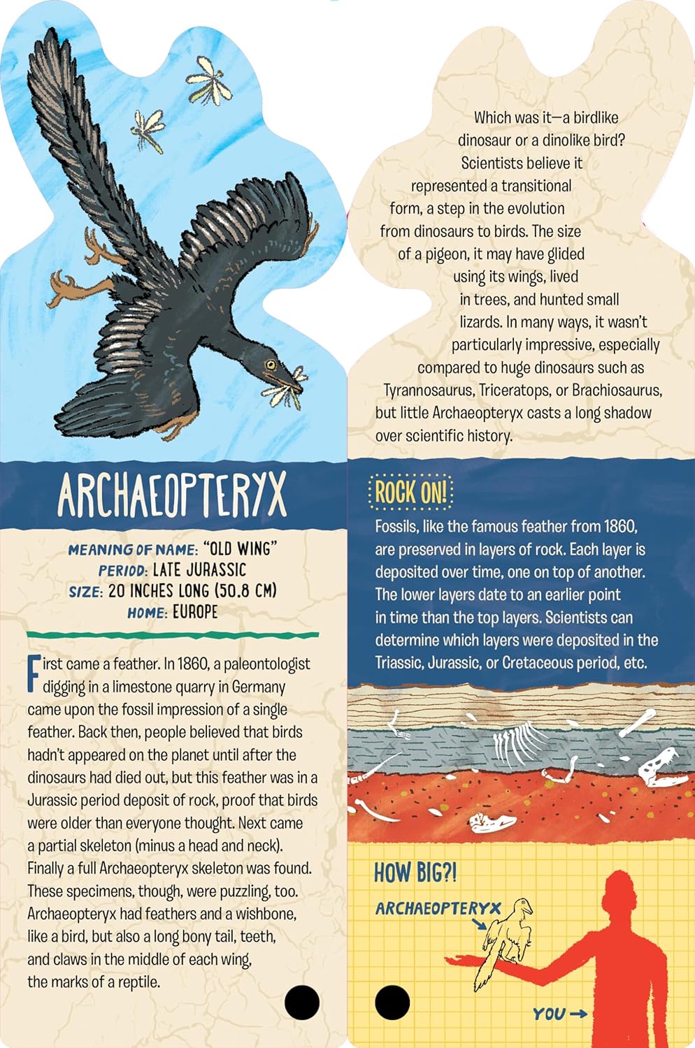 Fandex Kids: Dinosaurs