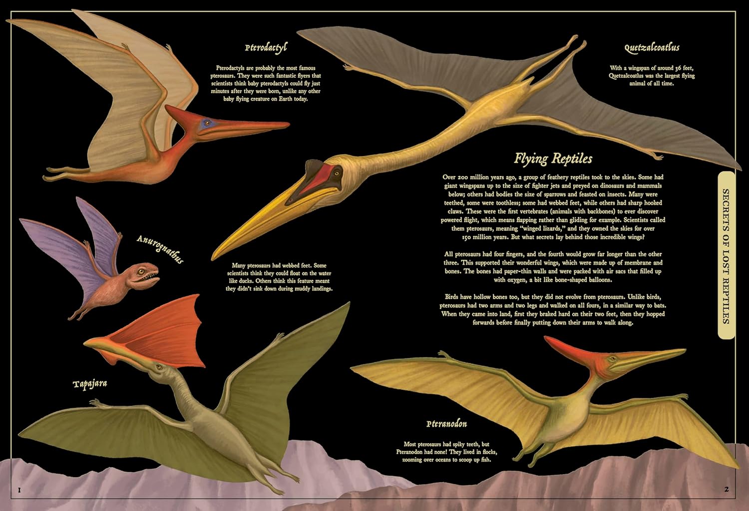 Secret Stories Of Lost Beasts