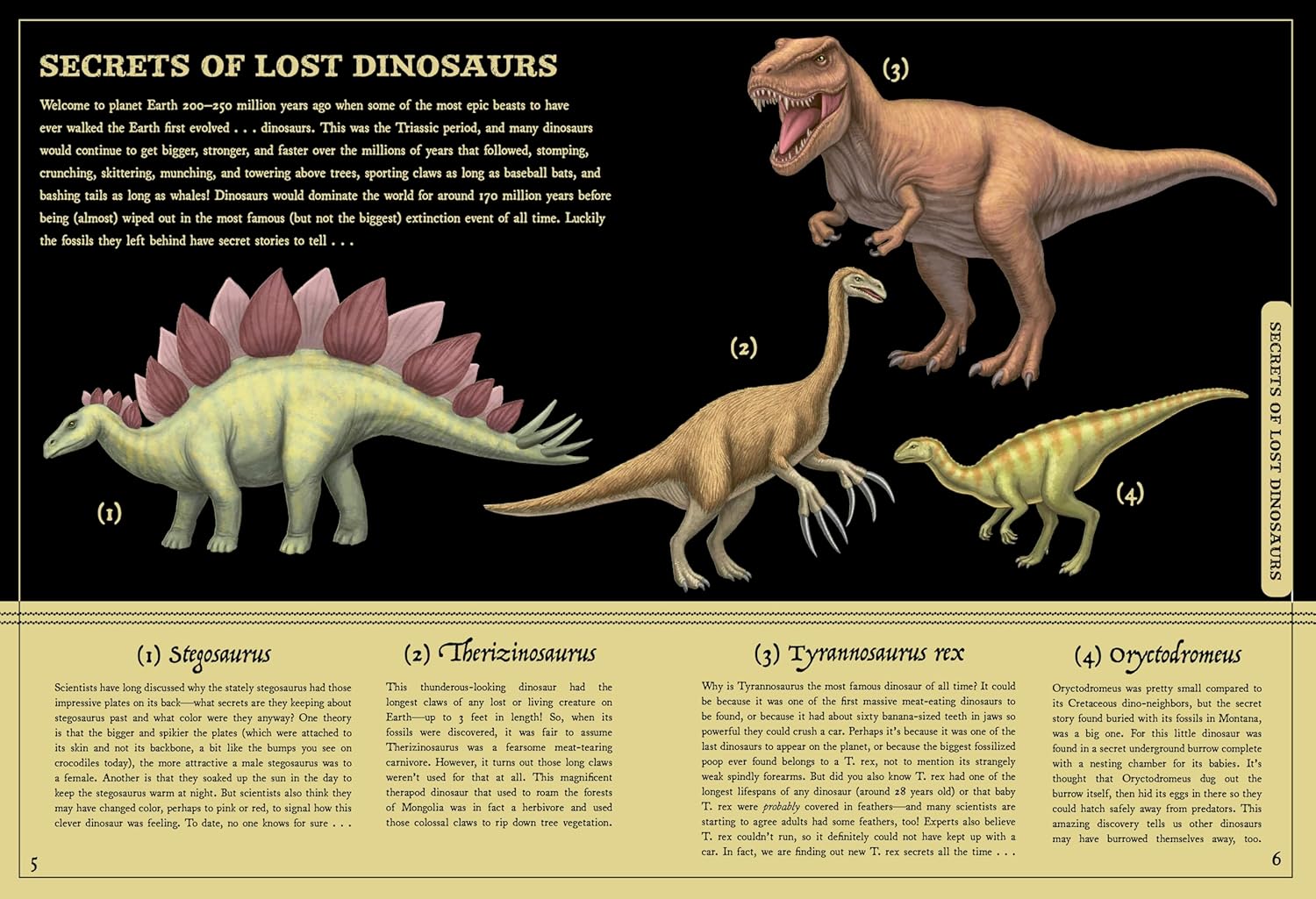 Secret Stories Of Lost Beasts