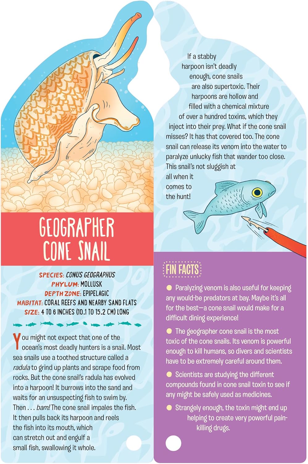 Fandex Kids: Ocean Life