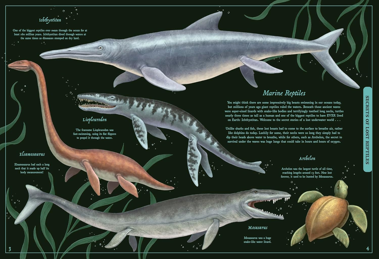 Secret Stories Of Lost Beasts