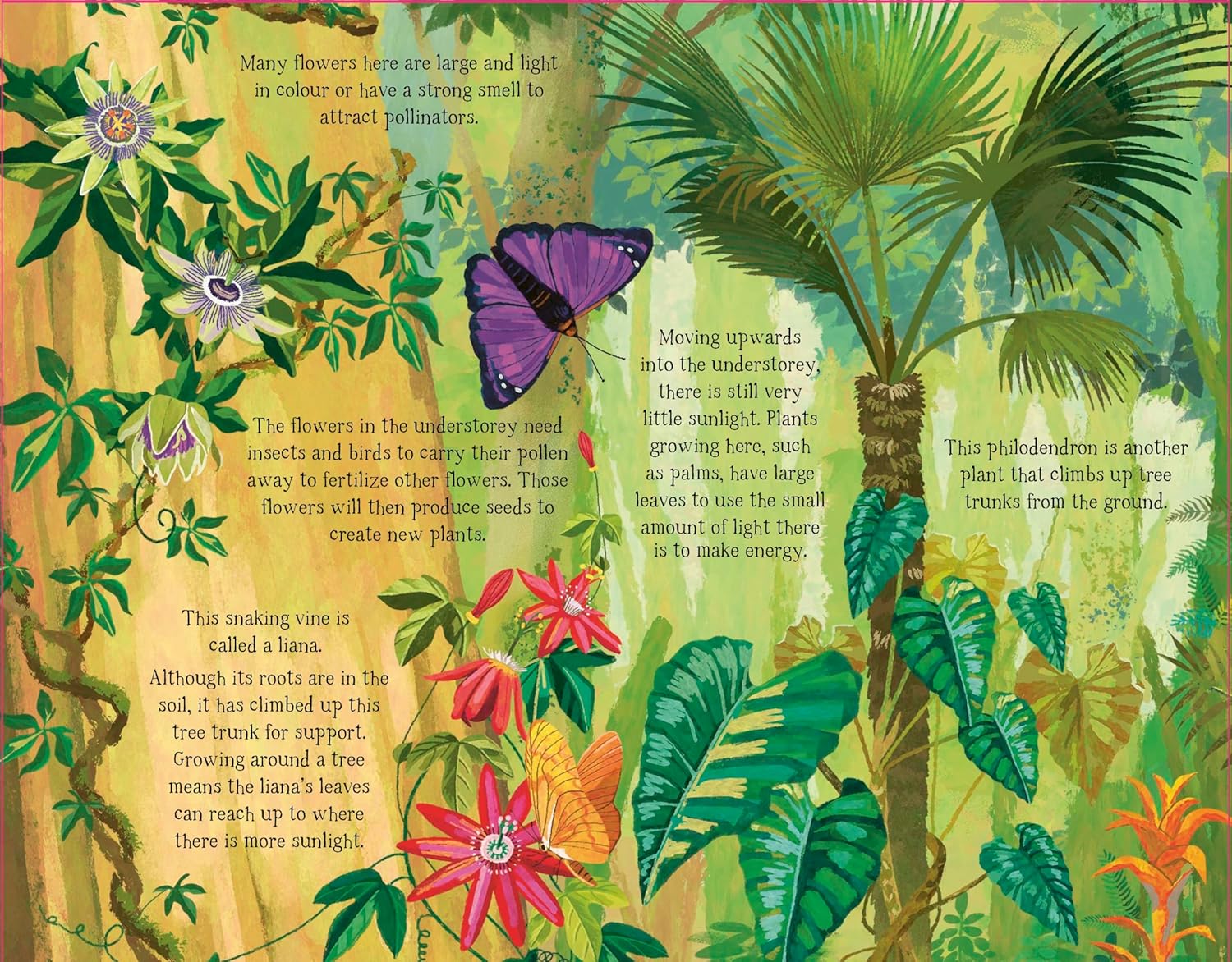 The Forest That Grows Around Me