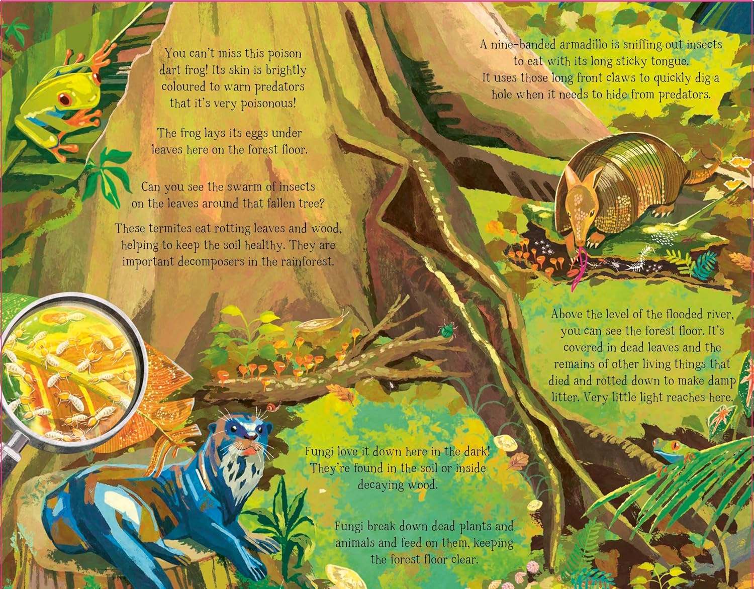 The Forest That Grows Around Me