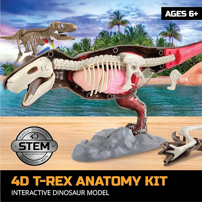 Discovery Mindblown 4D T-Rex Anatomy Kit