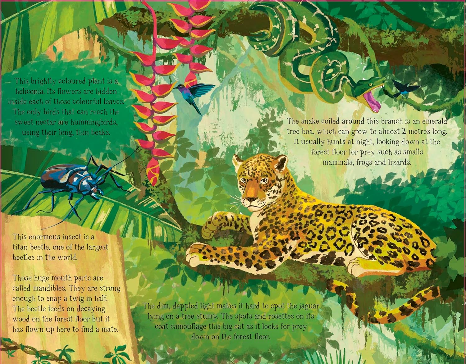 The Forest That Grows Around Me