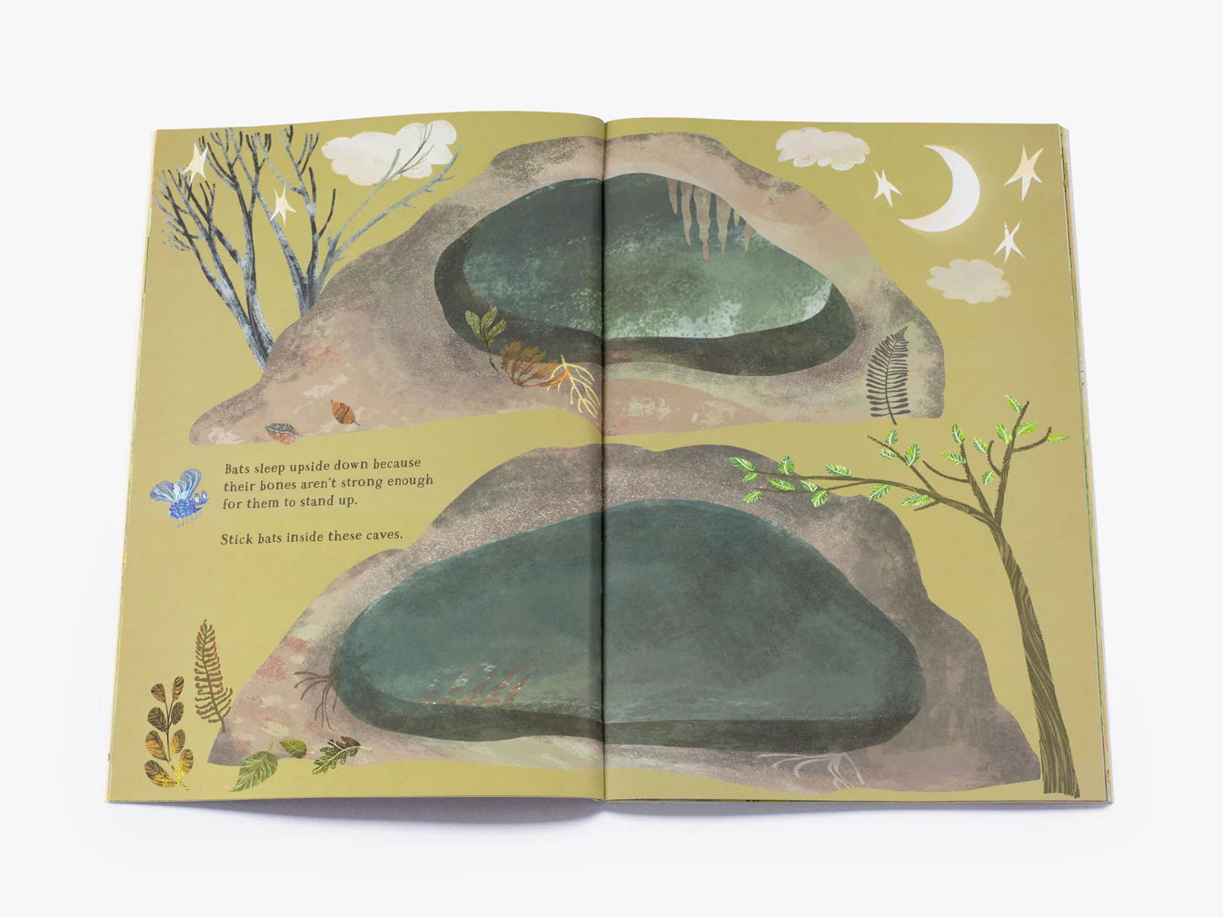 The Big Sticker Book of Beasts by Yuval Zommer