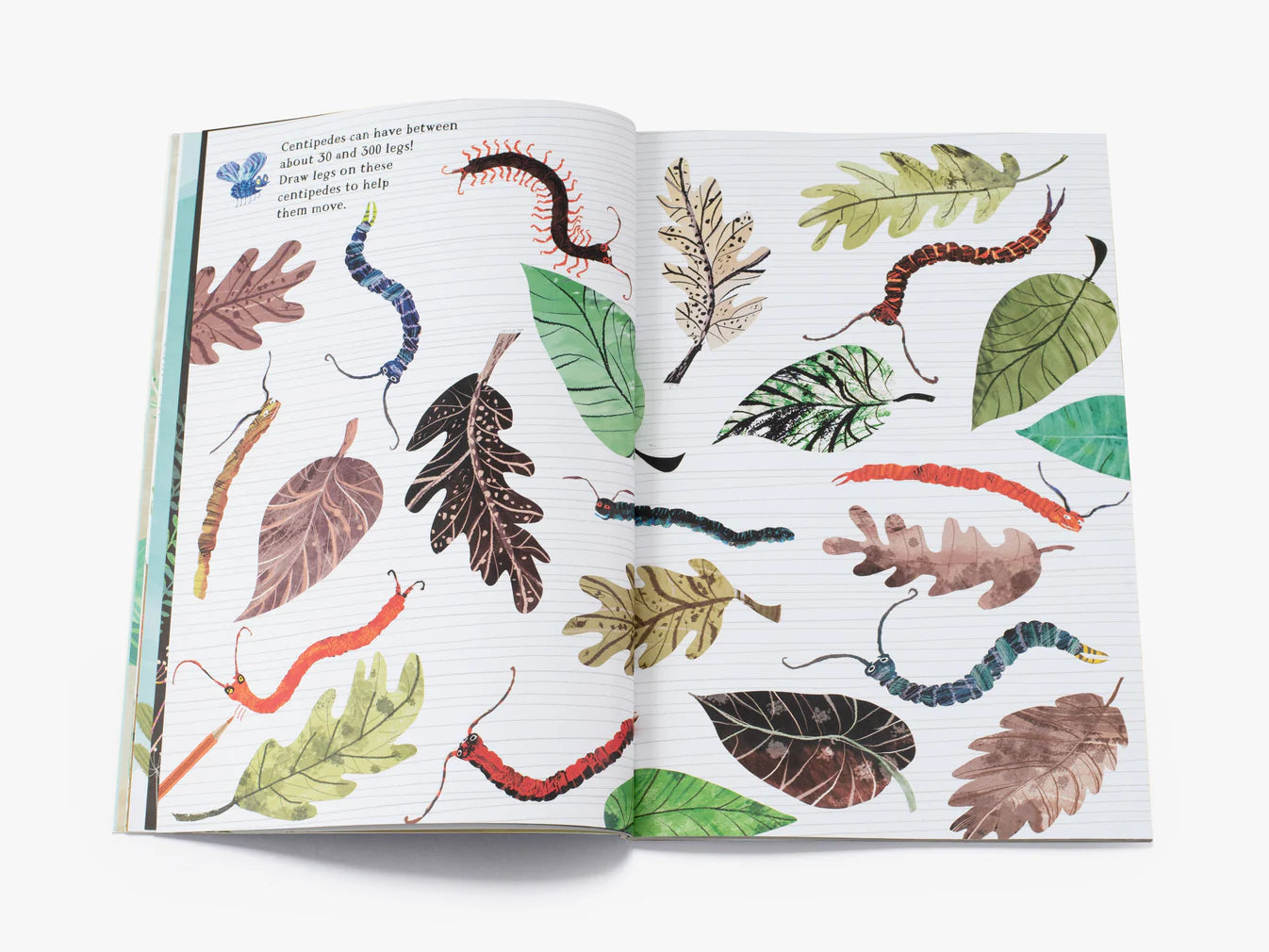 The Big Sticker Book of Bugs by Yuval Zommer
