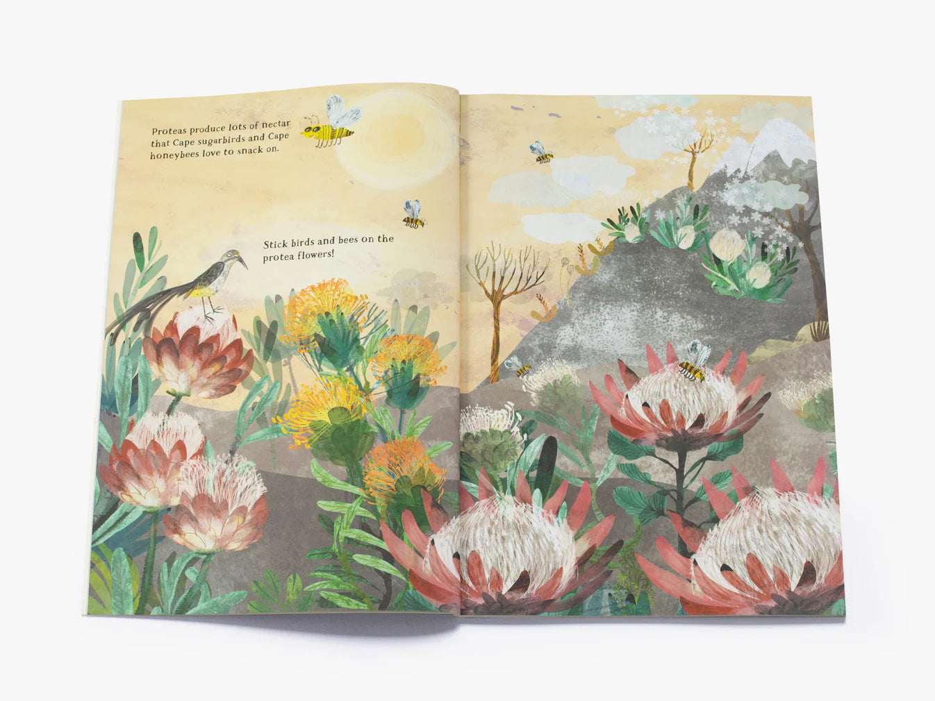 The Big Sticker Book of Blooms by Yuval Zommer