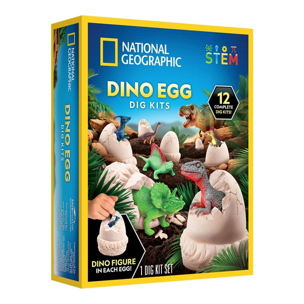 National Geographic Dinosaur Egg Dig Kit (Set of 12)
