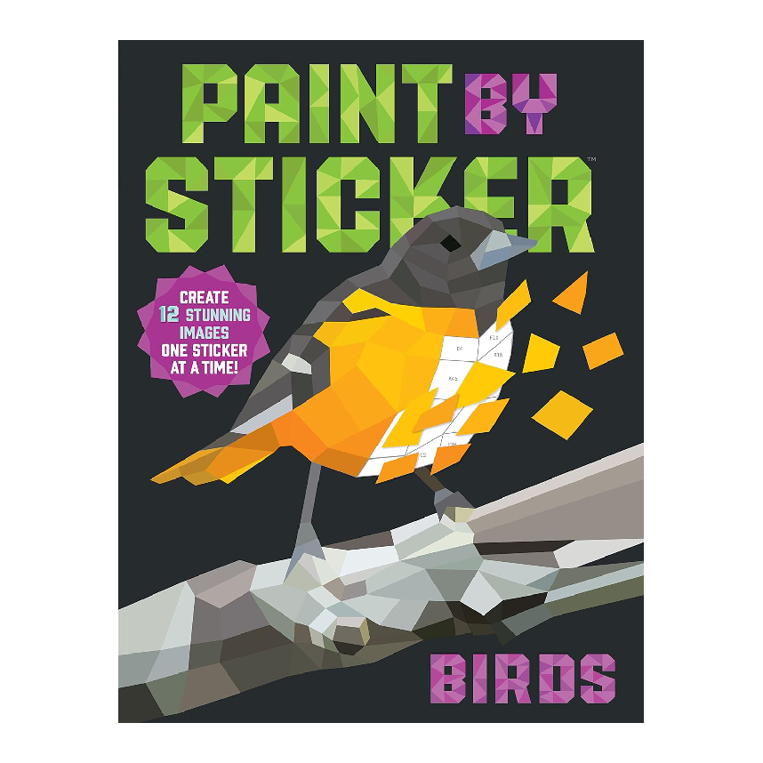 Paint By Sticker: Birds