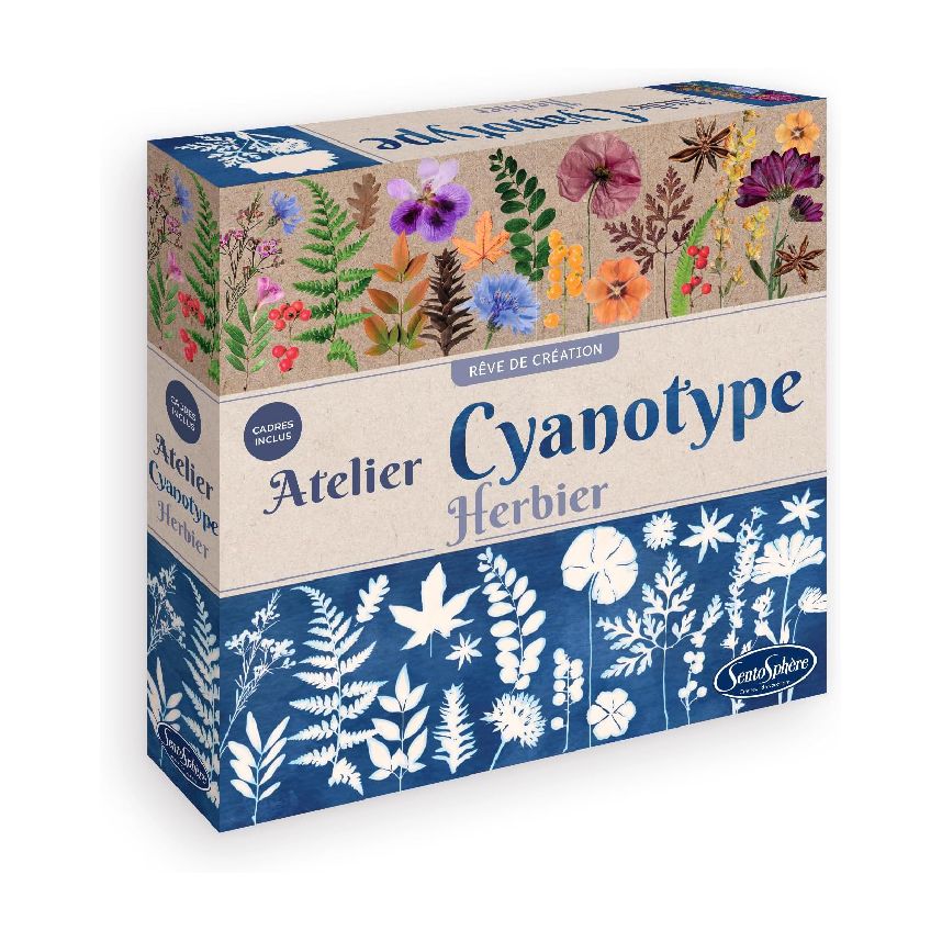 Sentosphere Cyanotype Workshop