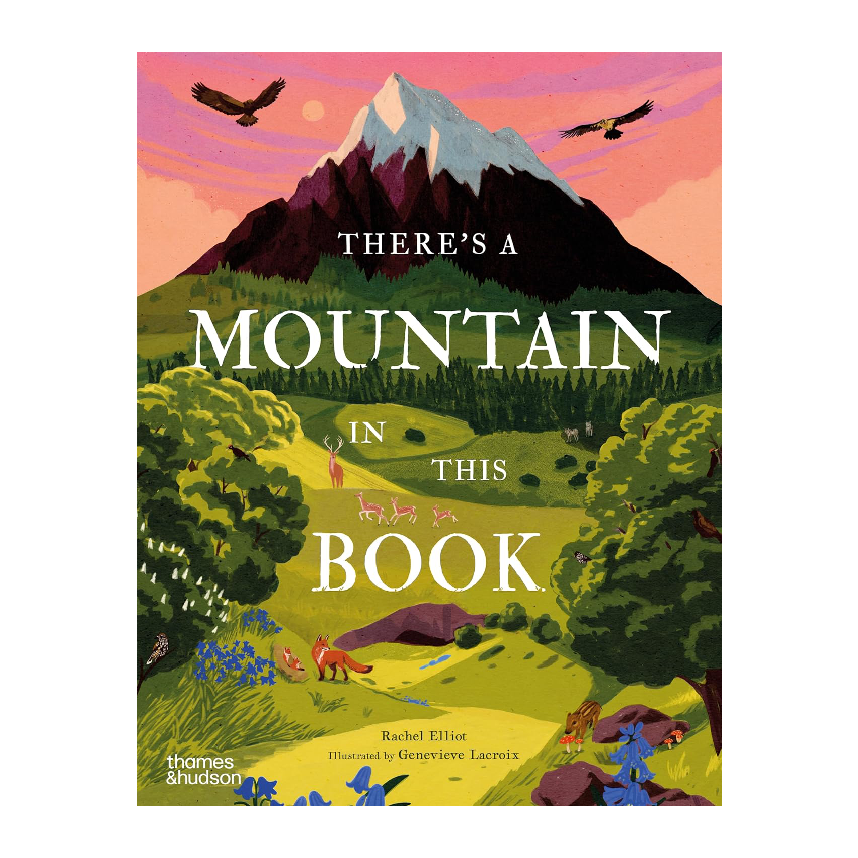 There's A Mountain In This Book