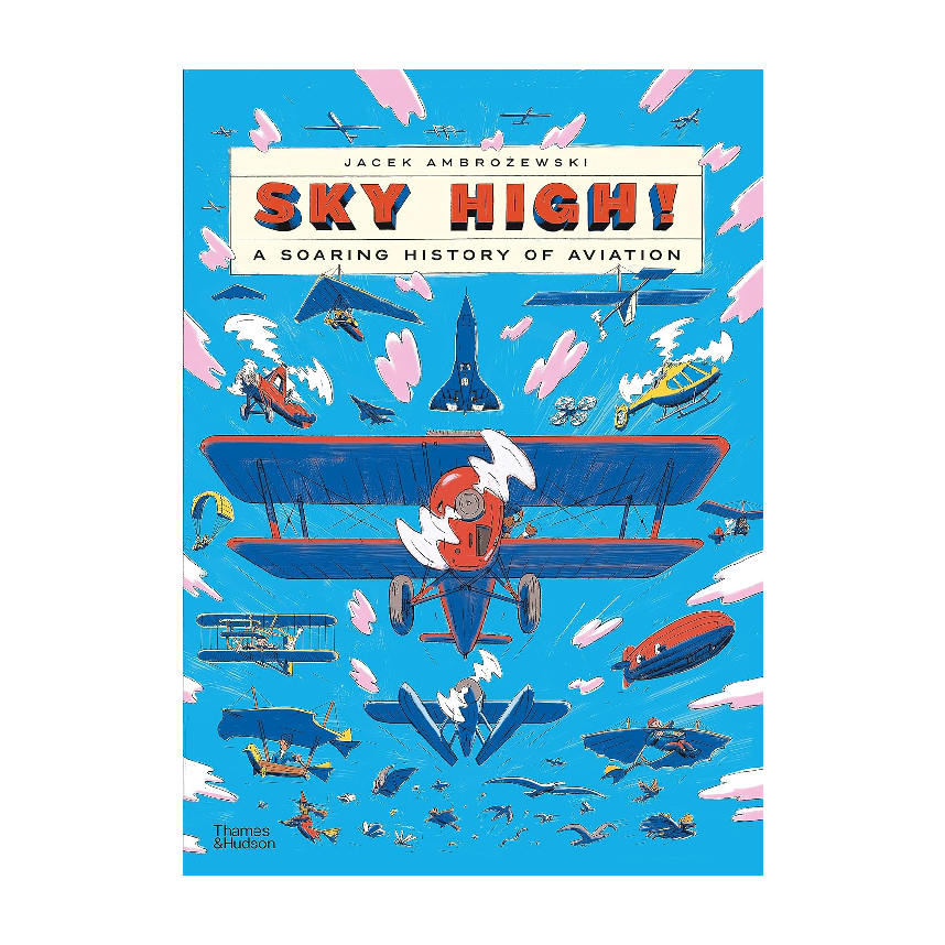 Sky High!: A Soaring History Of Aviation