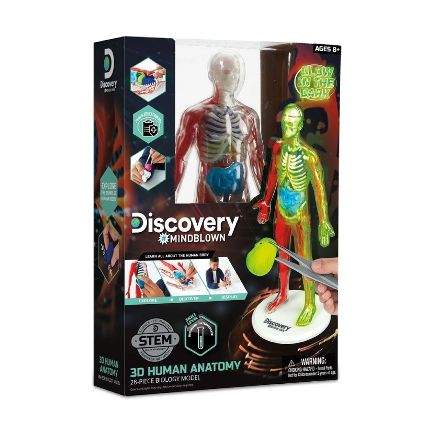Discovery Mindblown 3D Human Anatomy
