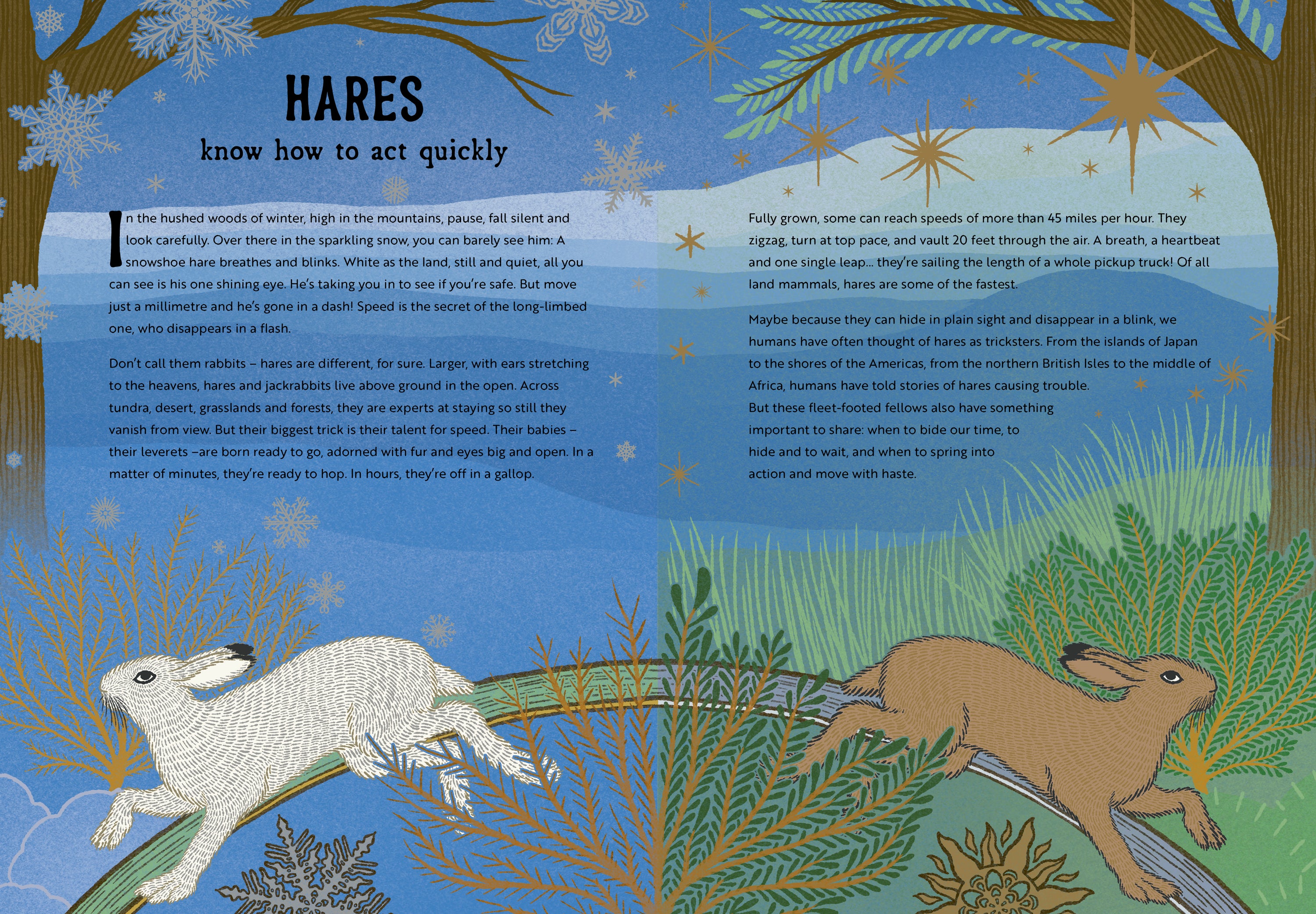 The Hidden Wisdom of Animals: Surprising Things We Can Learn From Nature