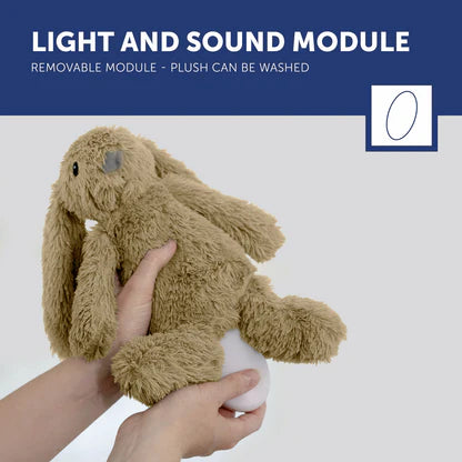 Zazu Baby Sleep Soother with Nightlight: Ro The Rabbit (Taupe)