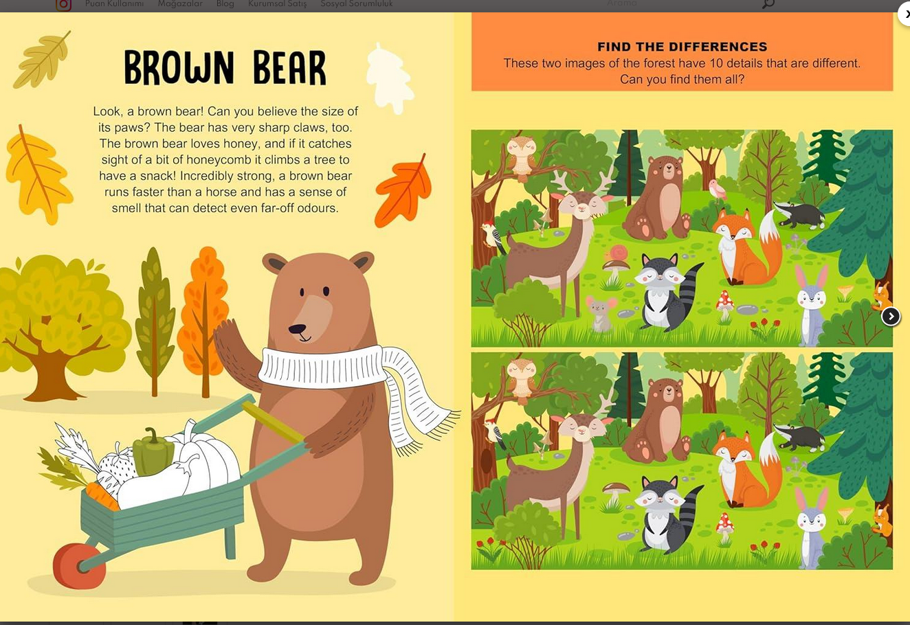 Mega Box Arts & Crafts: Magic Forest