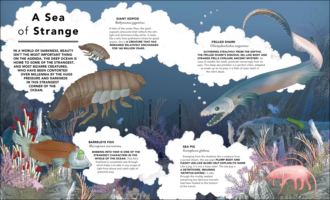 The Fantastical Safari