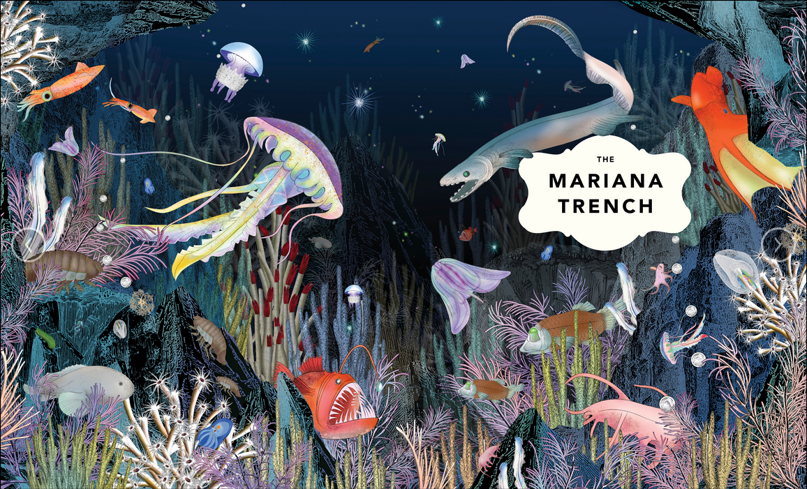 The Fantastical Safari