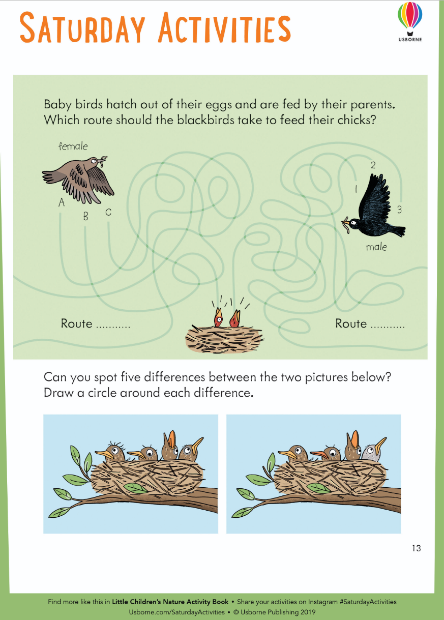 Usborne Little Childrens Nature Activity Book