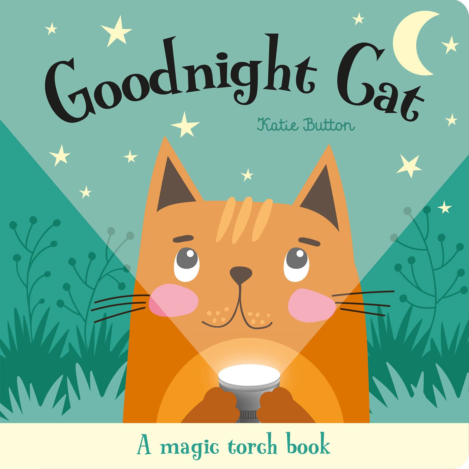 Torchlight Book: Goodnight Cat