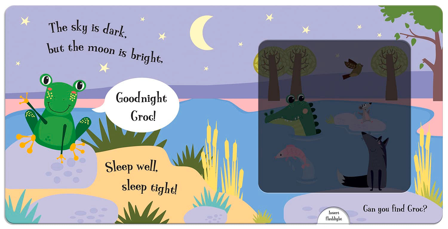 Torchlight Book: Goodnight Frog