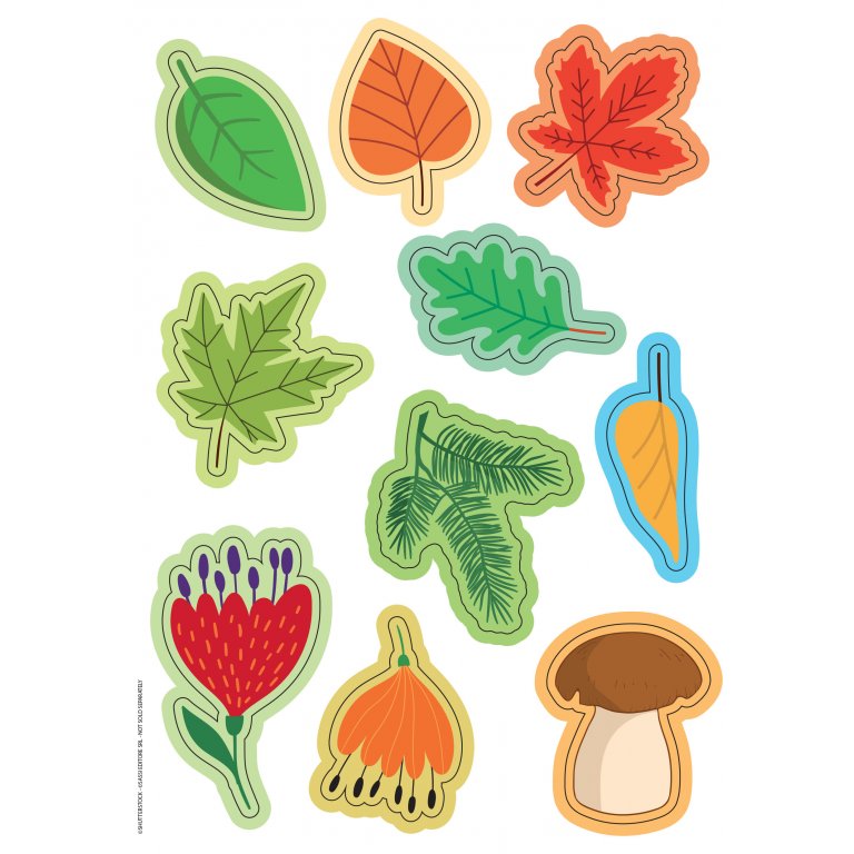 Card Games: Bluff! The Nature