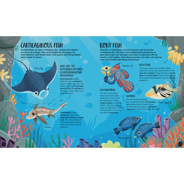 Mega Atlas - The Ultimate Animals Atlas