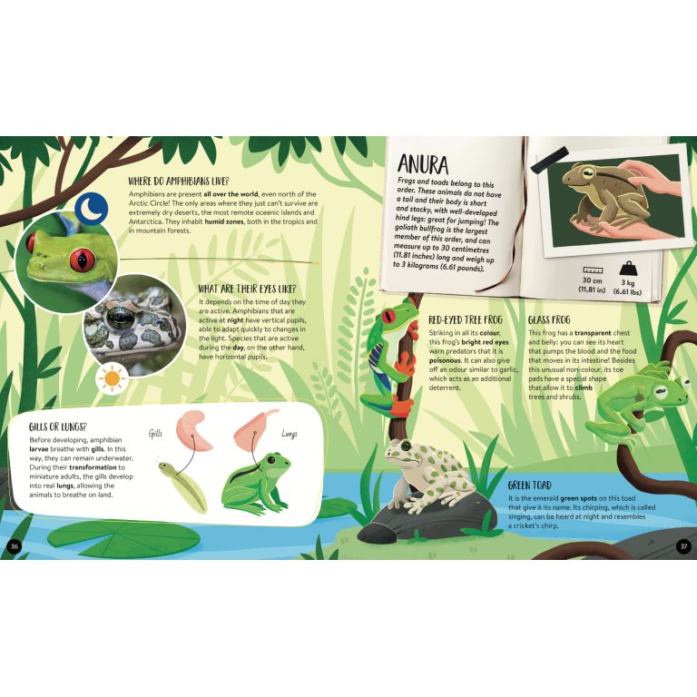 Mega Atlas - The Ultimate Animals Atlas