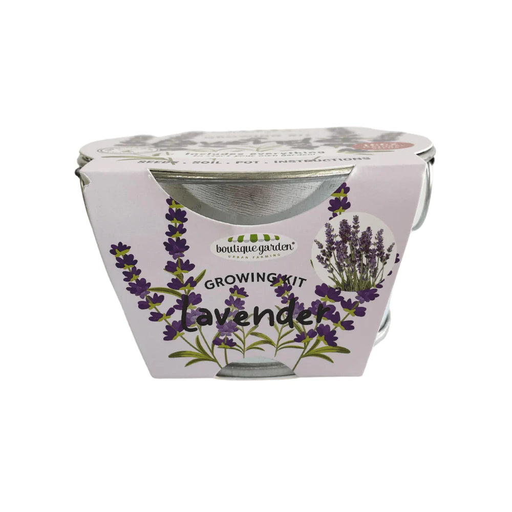 Boutique Garden Coloured Mini Zinc Basin: Lavender