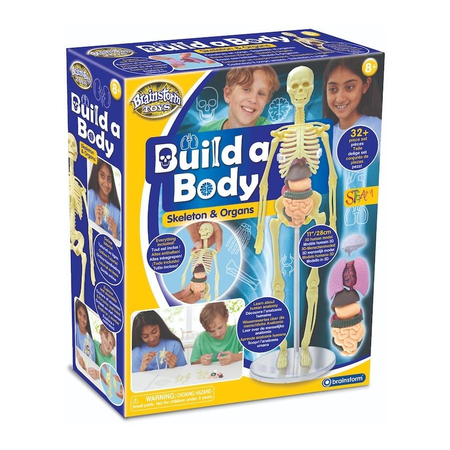 Brainstorm Build A Body