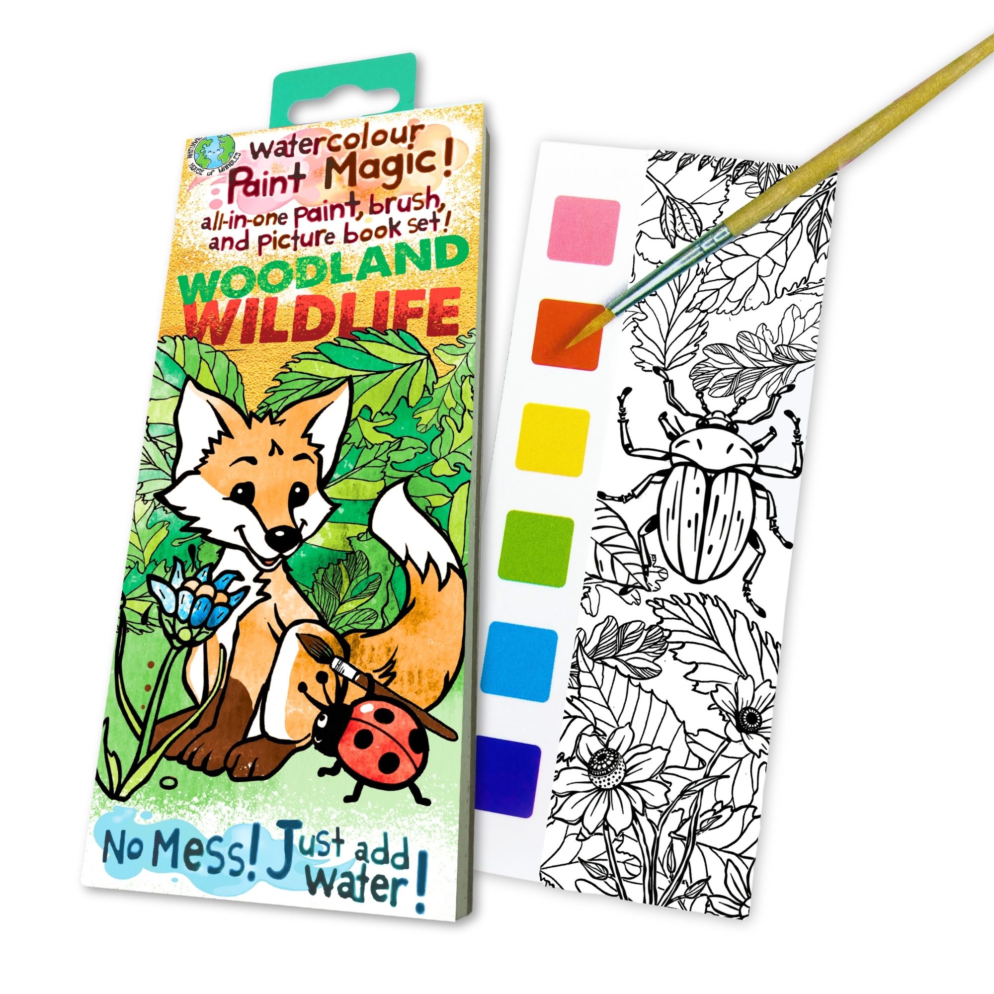 House of Marbles Paint Magic: Woodland Wildlife