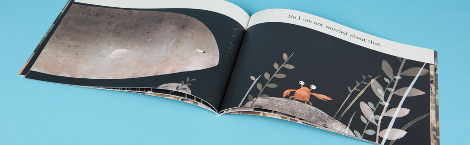 This Is Not A Hat by Jon Klassen
