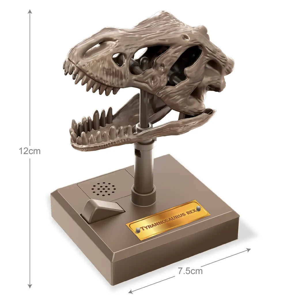 4M KidzLabs Roaring T-Rex Skull