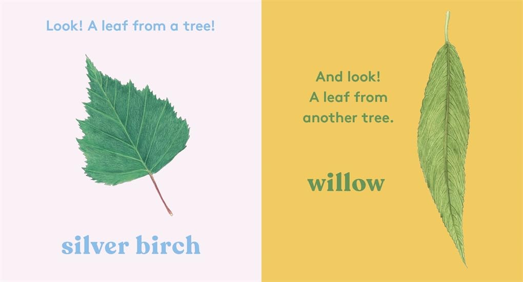 Look! A Tree!