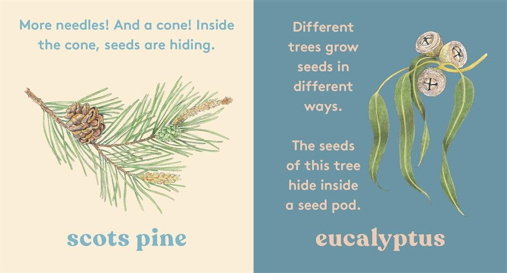 Look! A Tree!