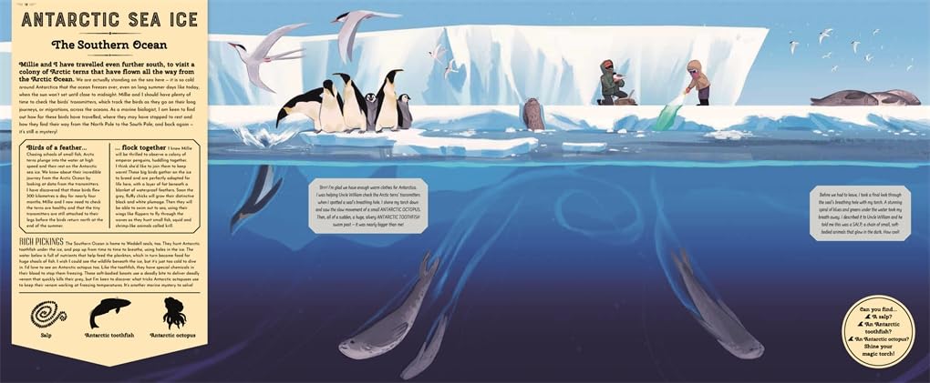 Mysteries of the Ocean