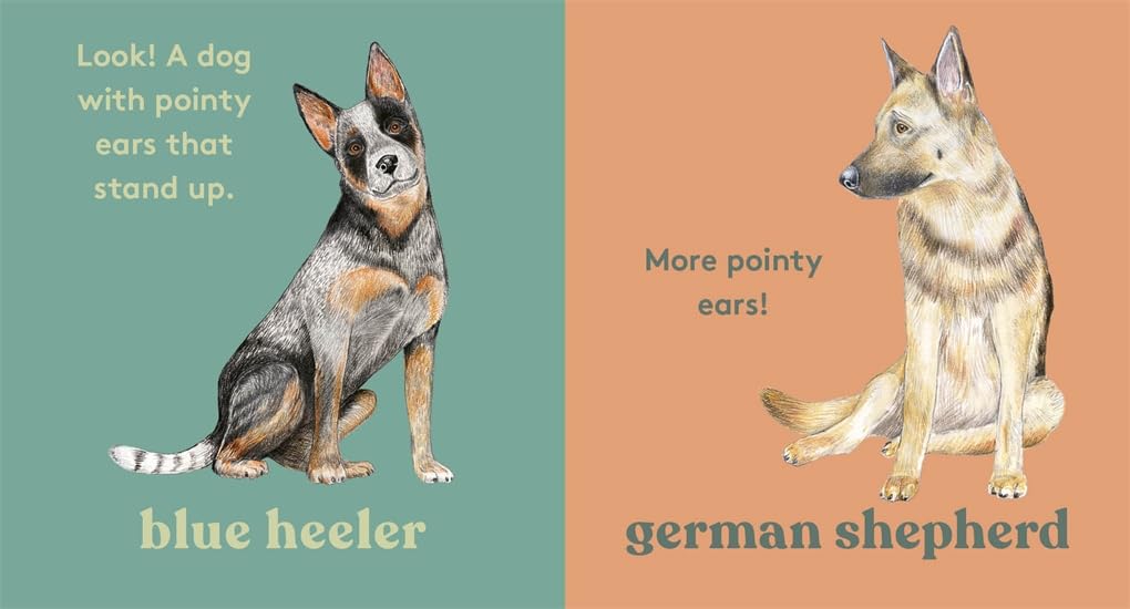 Look! A Dog!