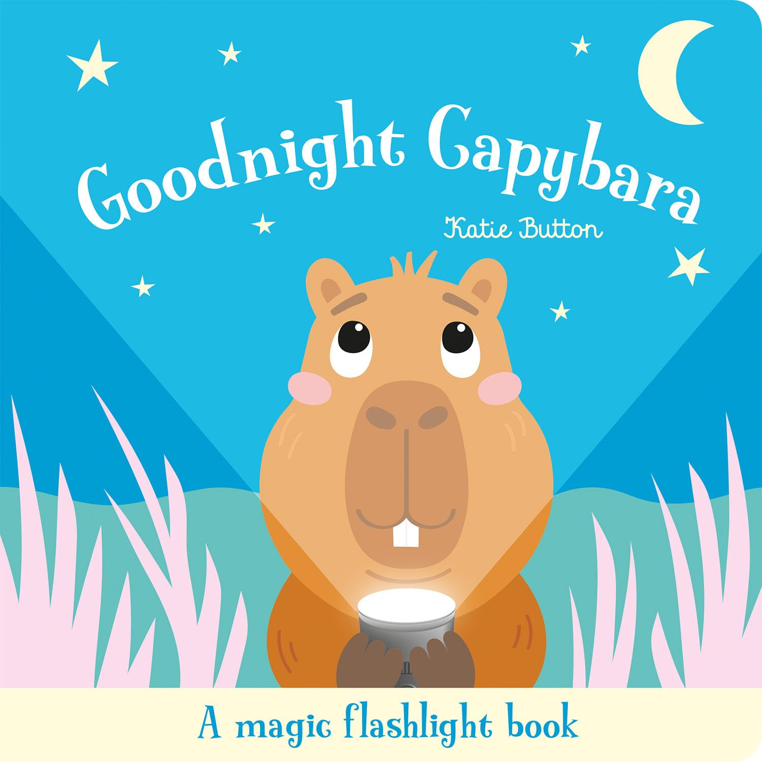 Torchlight Book: Goodnight Capybara