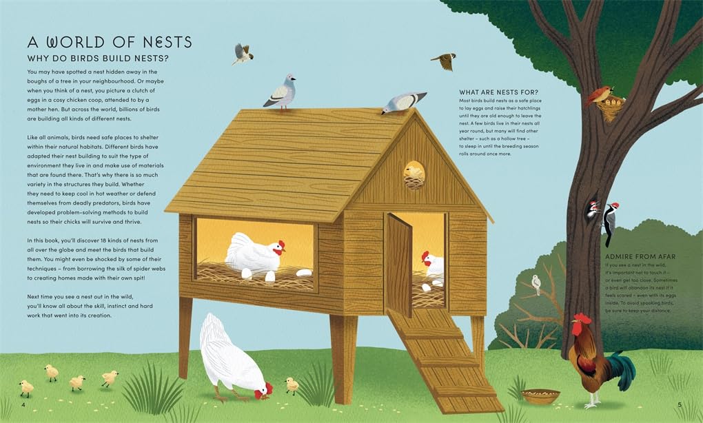 The Secret World Of Bird Nests